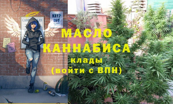 твердый Пересвет