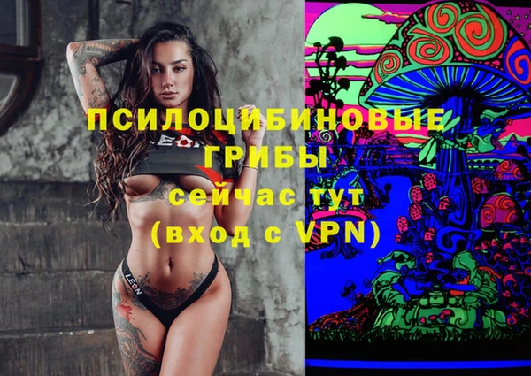 соль ск Абинск