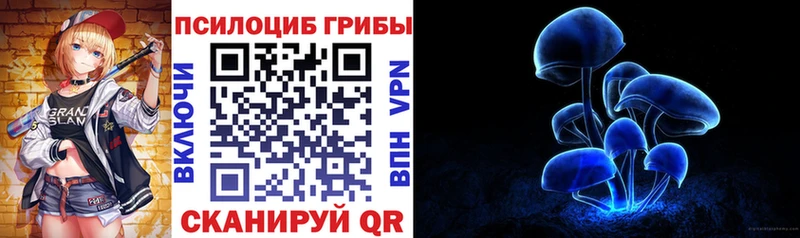 Псилоцибиновые грибы мухоморы  где купить наркотик  Цоци-Юрт 