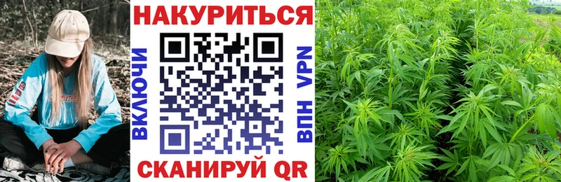 цена наркотик  Цоци-Юрт  MEGA ССЫЛКА  Бошки марихуана AK-47 